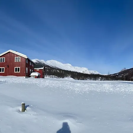 Chalet Feten Venner- Og Familiehytte Med Badstue *